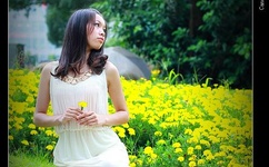 送三只小羊回家2